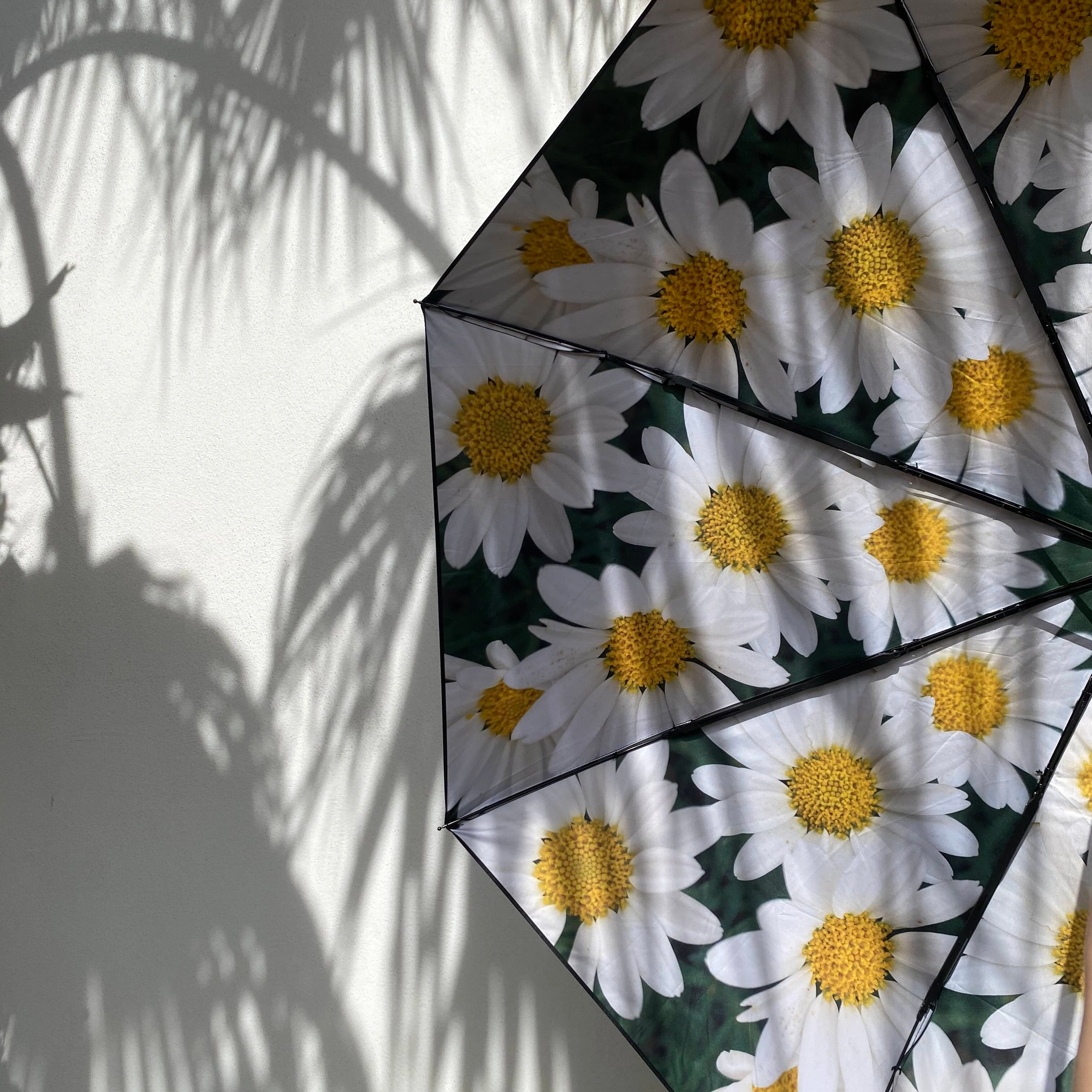Umbrella Forest