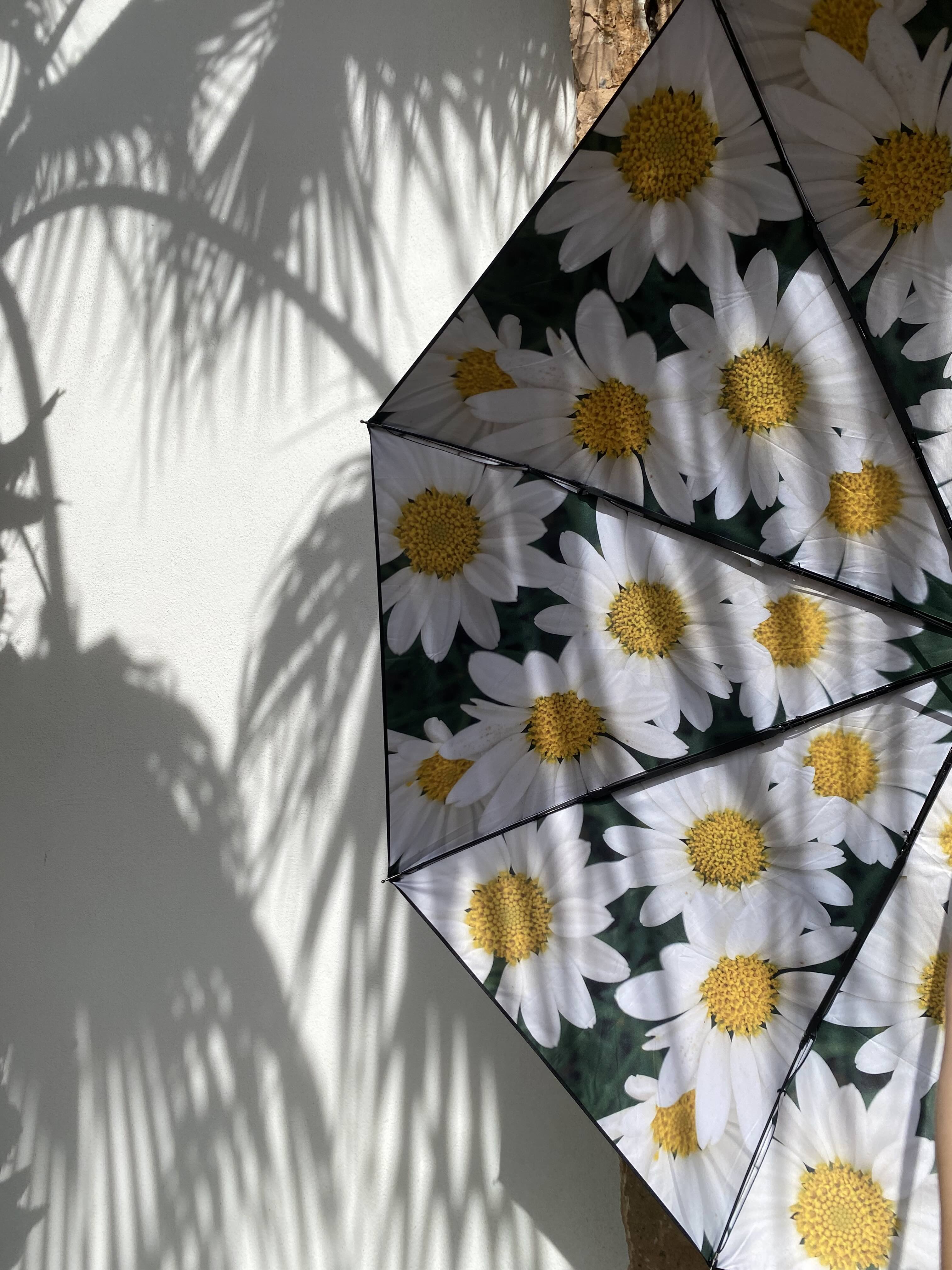 Umbrella Forest