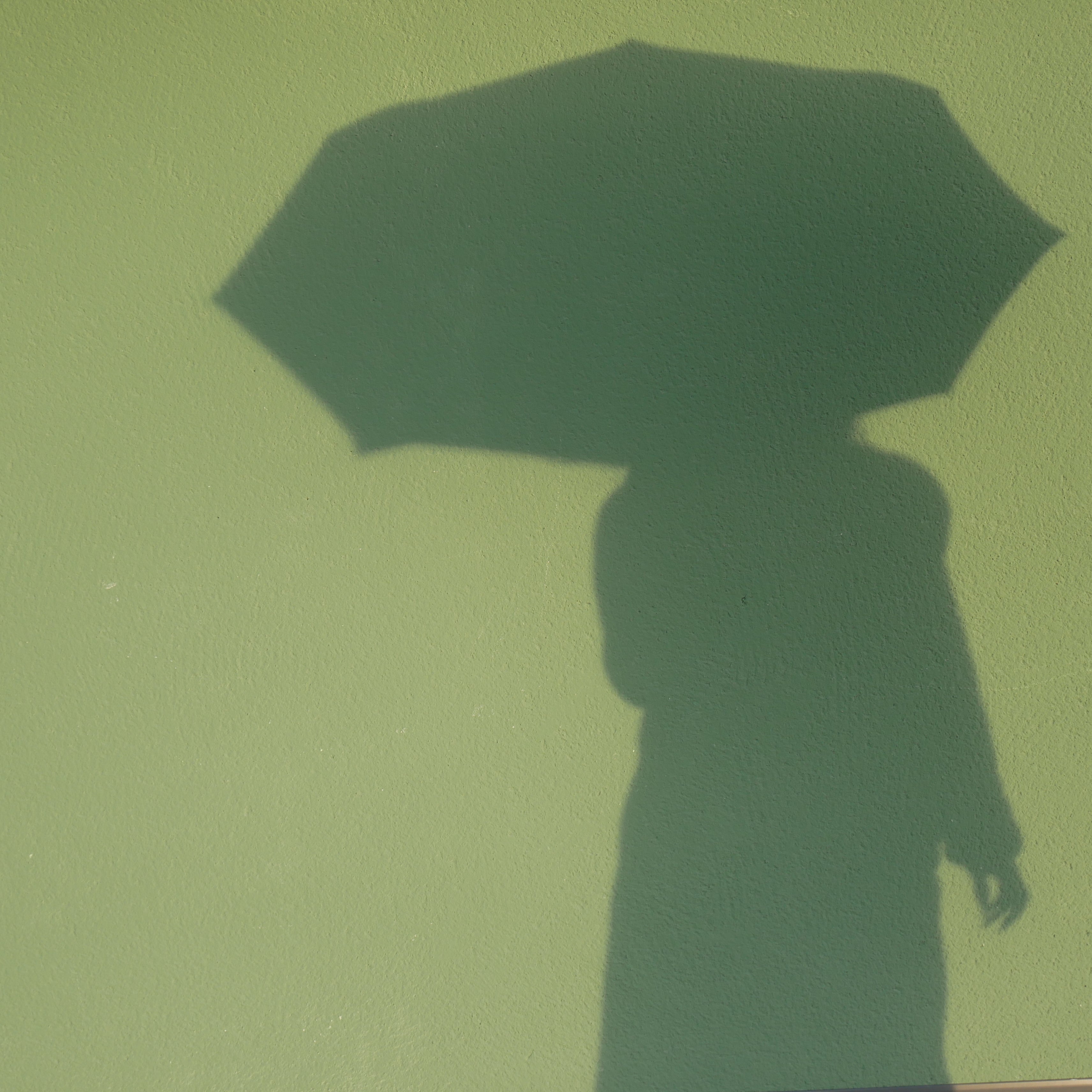 5 Reasons to Shop HAPPYSWEEDS Umbrella Samples Sale