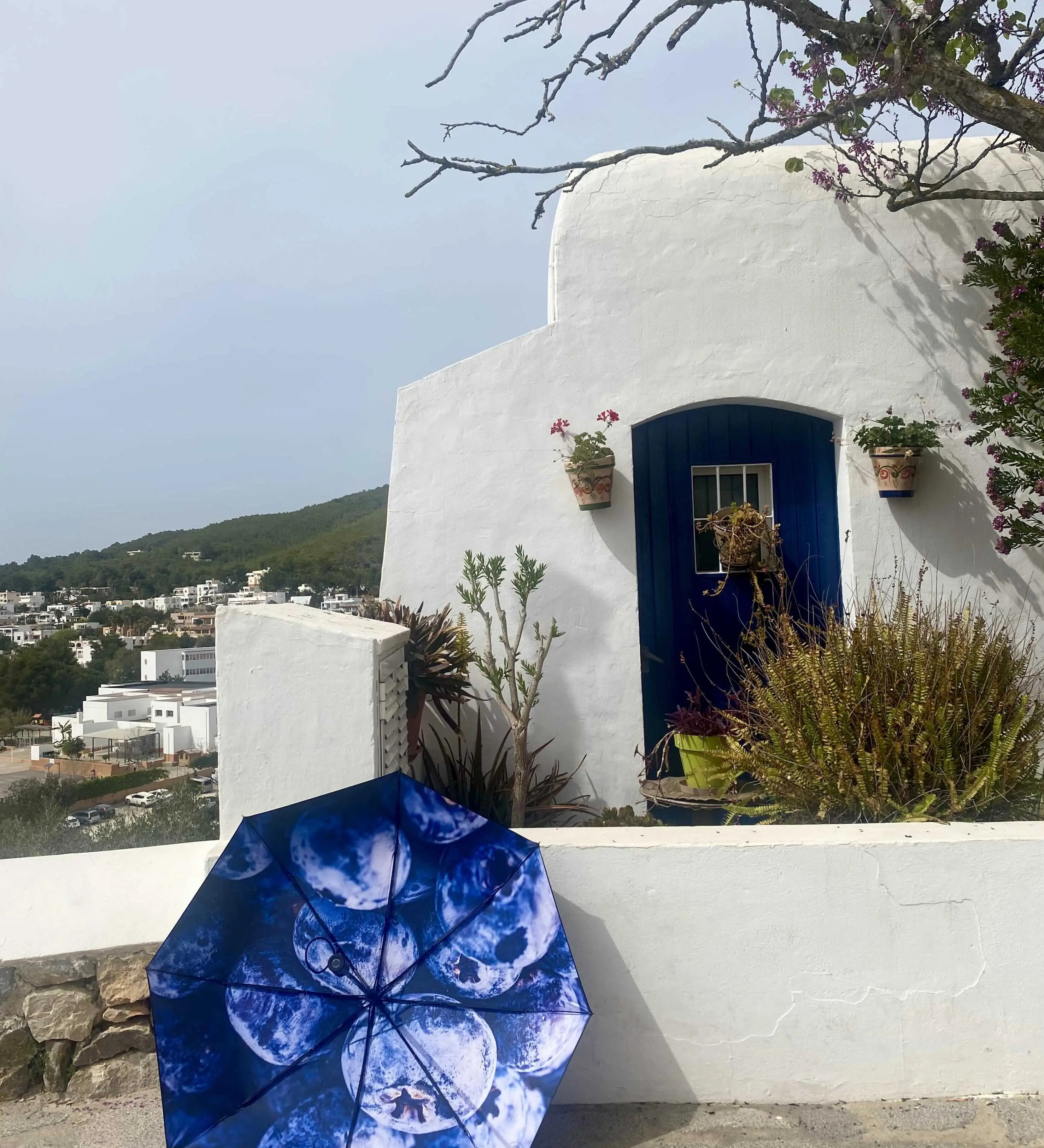 Blåbär Umbrella – Swedish Elegance, Windproof & UPF50+.