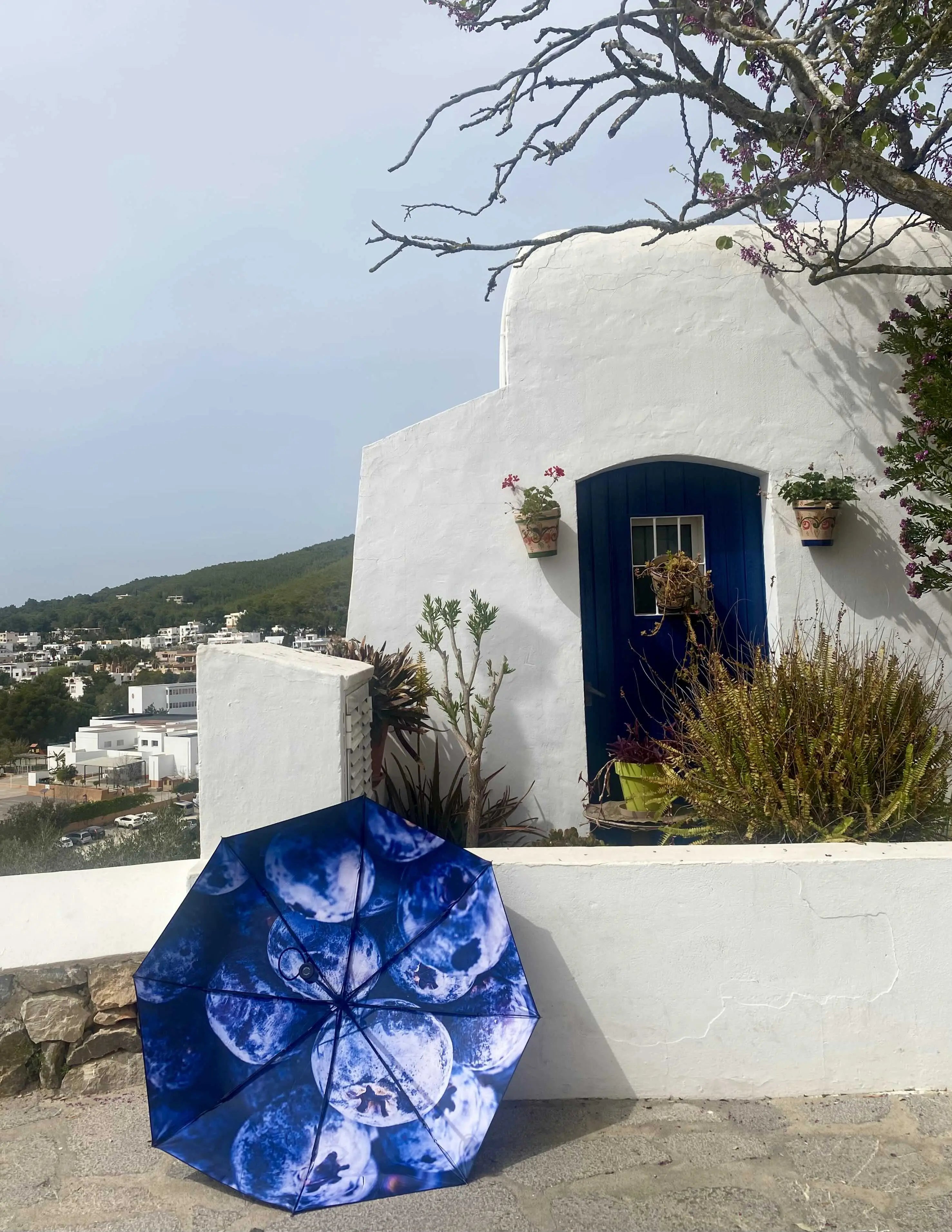 Blåbär Umbrella – Swedish Elegance, Windproof & UPF50+.