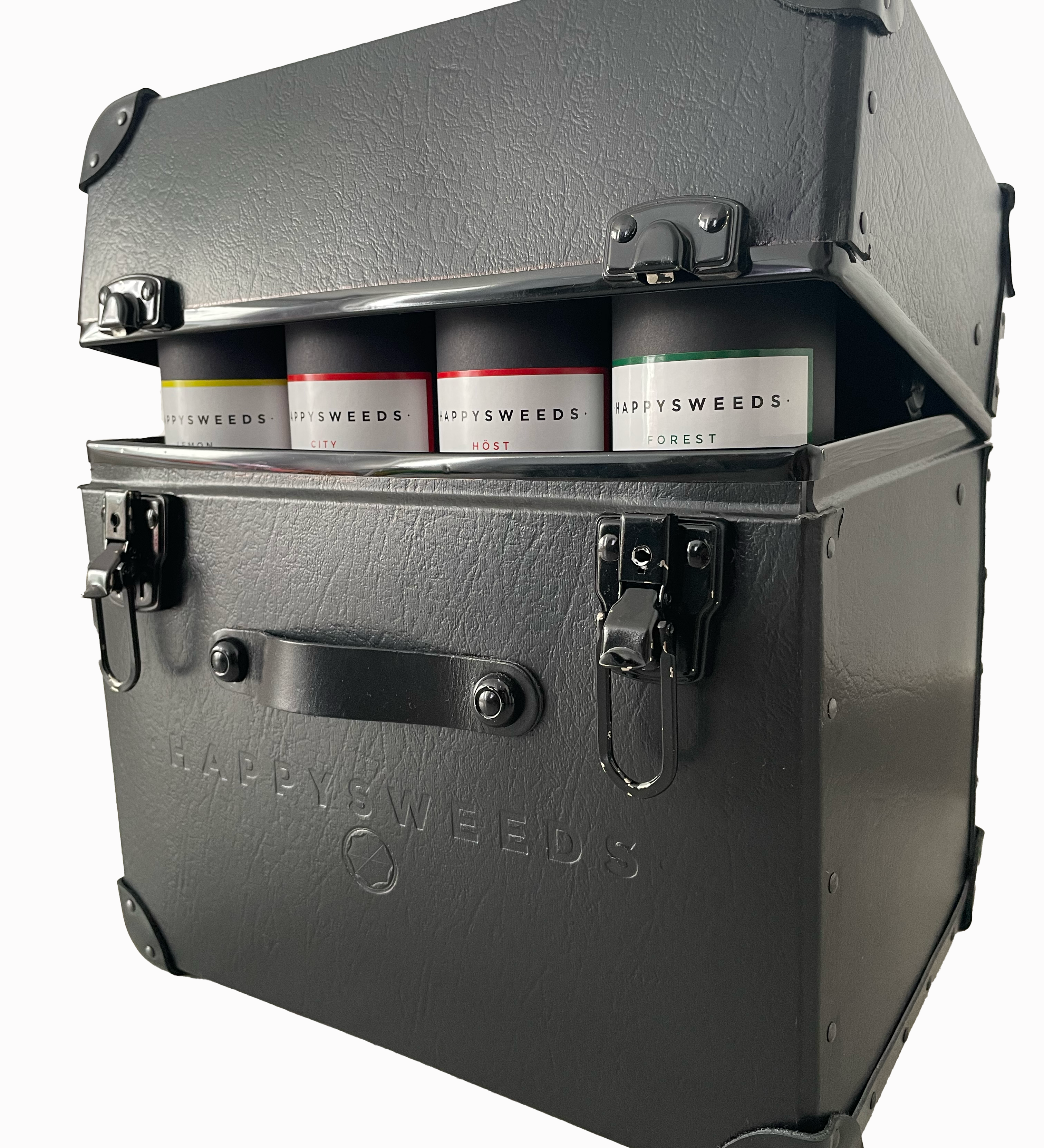 HS Trunk Sample – Stylish & Functional Travel Accessory.
