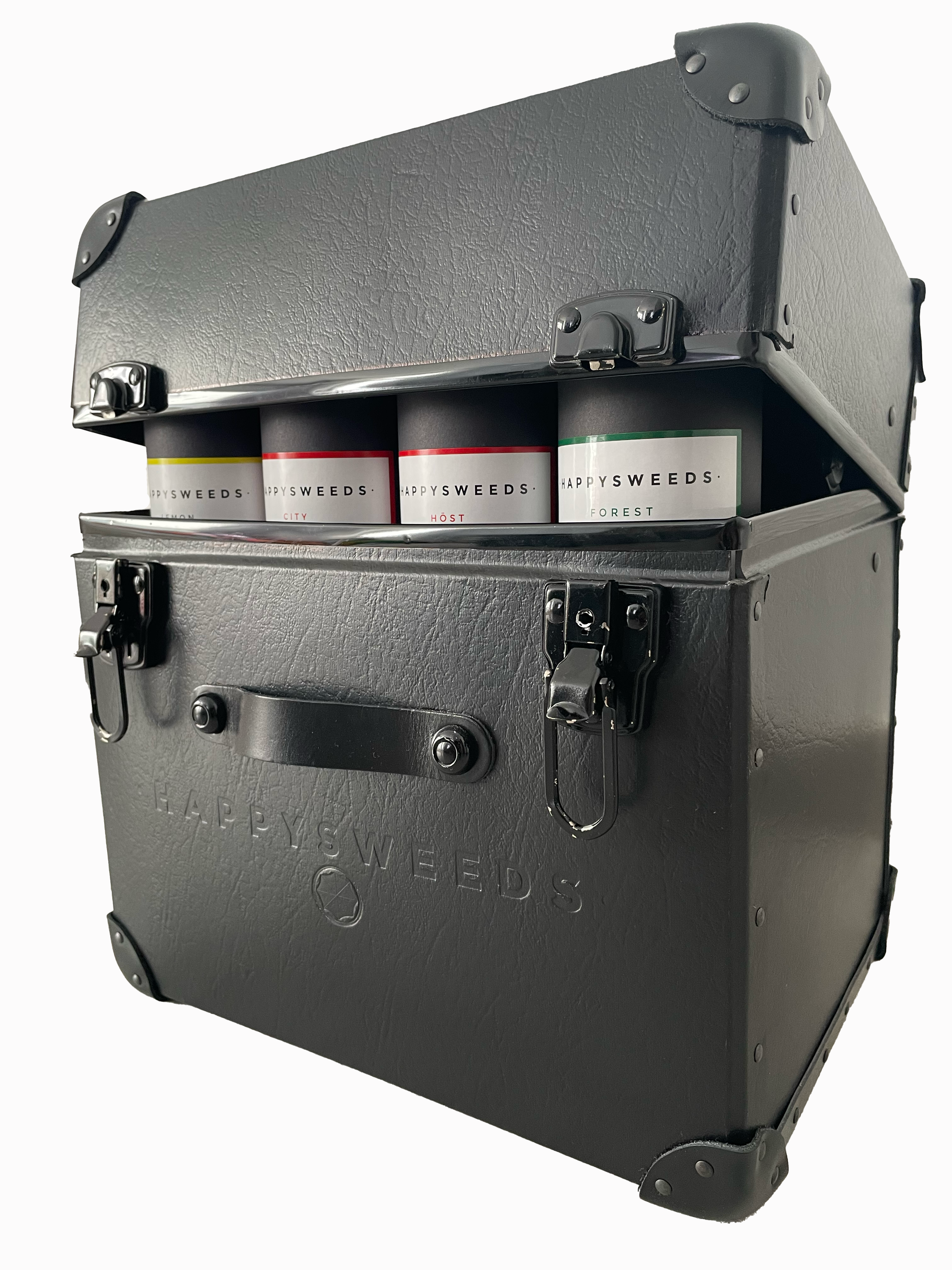 HS Trunk Sample – Stylish & Functional Travel Accessory.