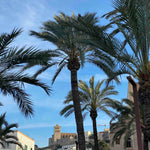 Dalt Vila Ibiza Print – Historic Beauty in A3 Matte Finish.