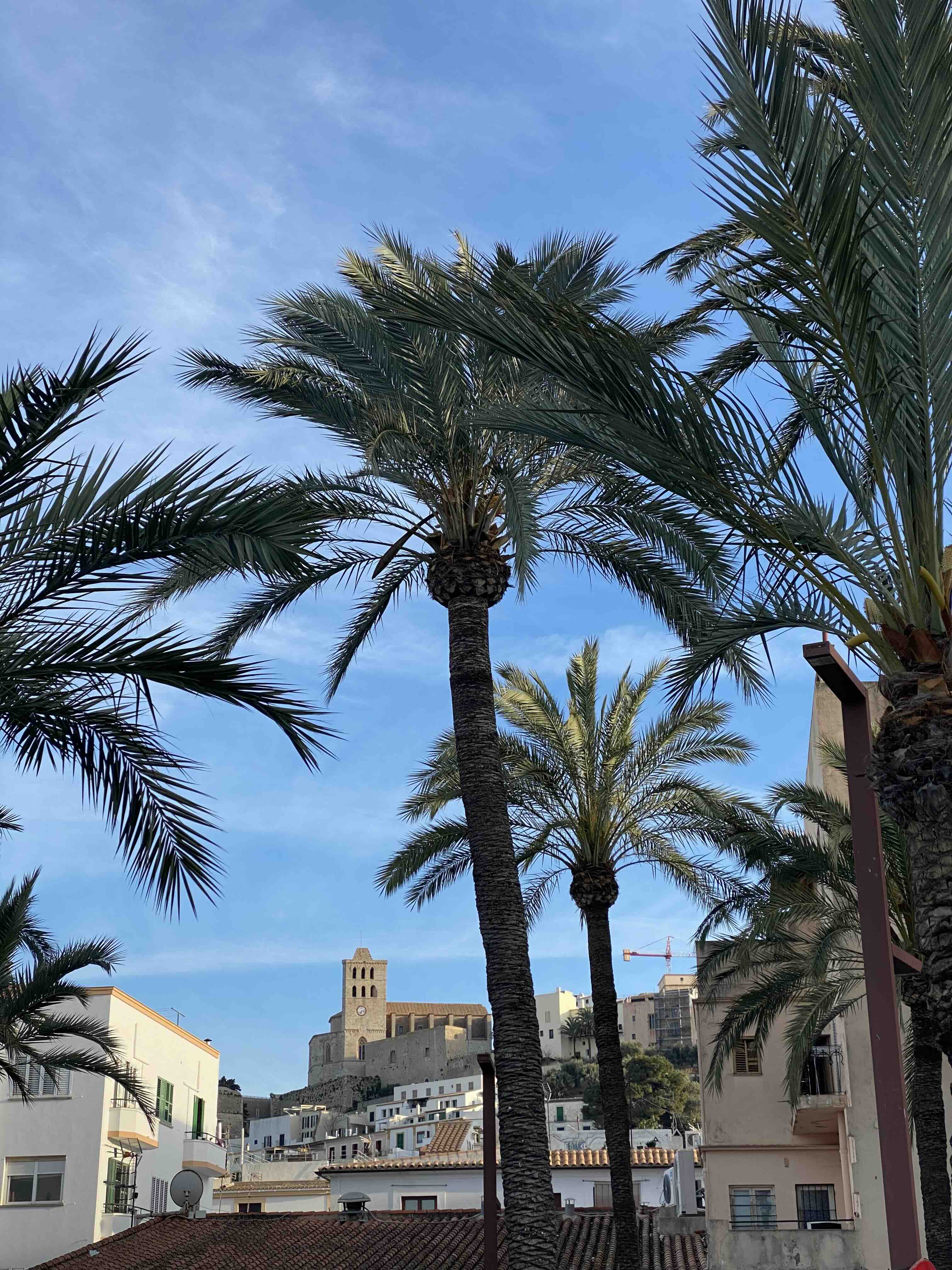 Dalt Vila Ibiza Print – Historic Beauty in A3 Matte Finish.