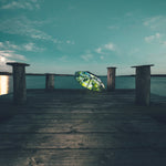 Forest Umbrella – Natural Elegance, Windproof & UPF50+.