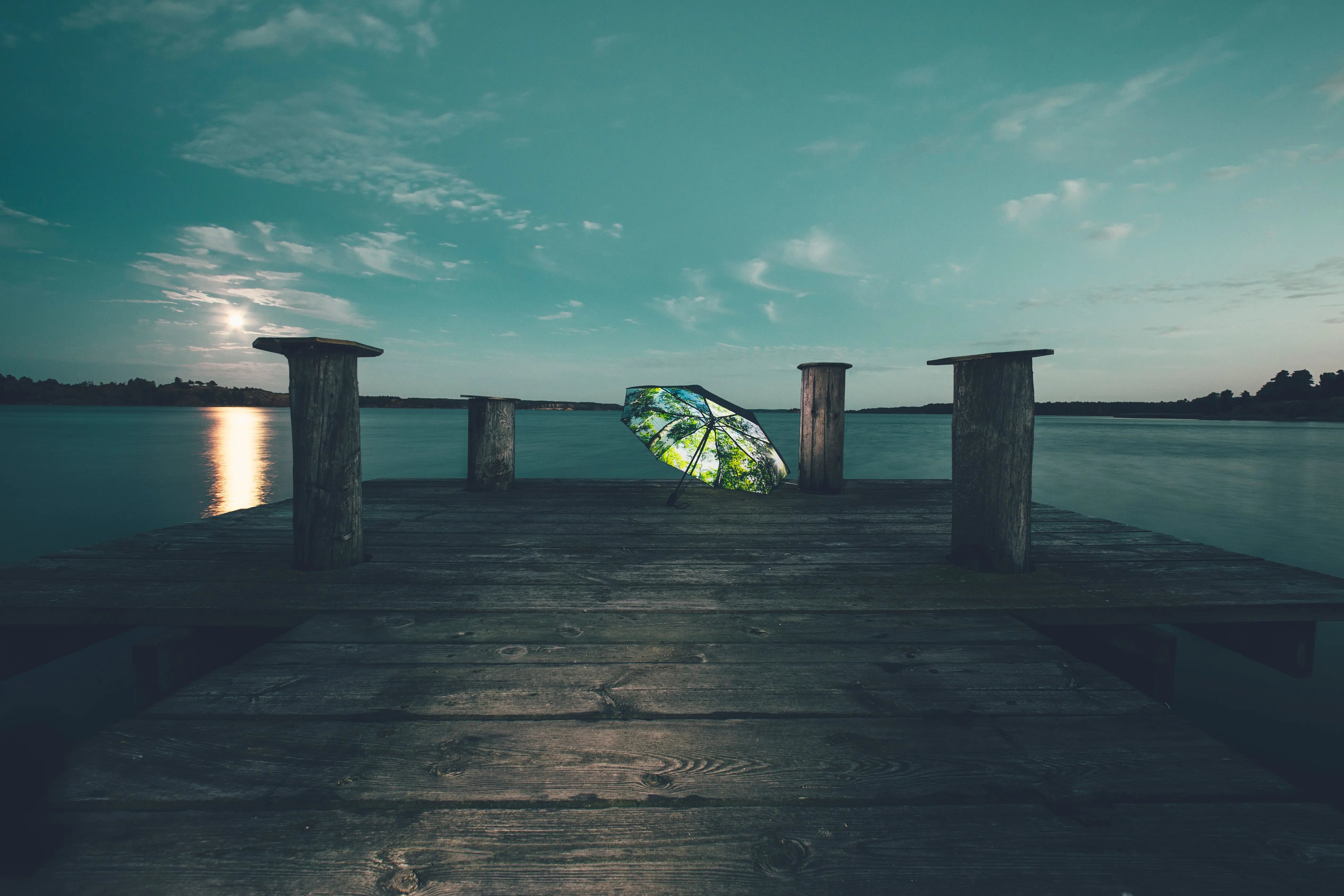 Forest Umbrella – Natural Elegance, Windproof & UPF50+.
