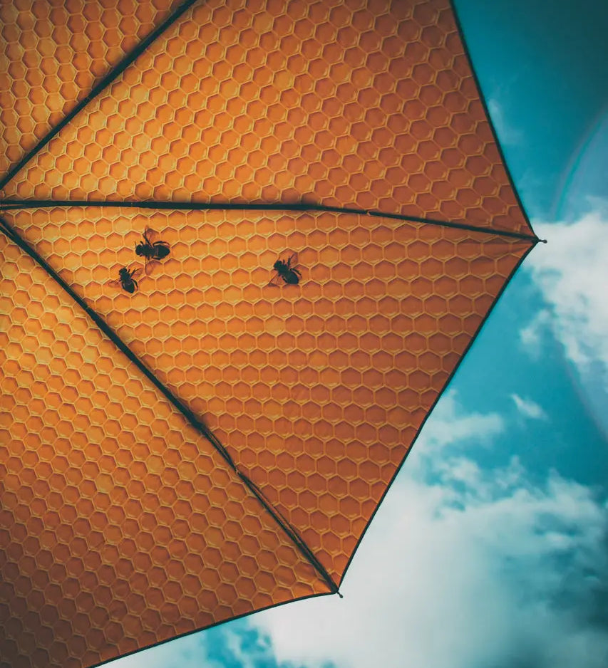 Honey Umbrella – Sweet, Windproof & UPF50+ Protection.