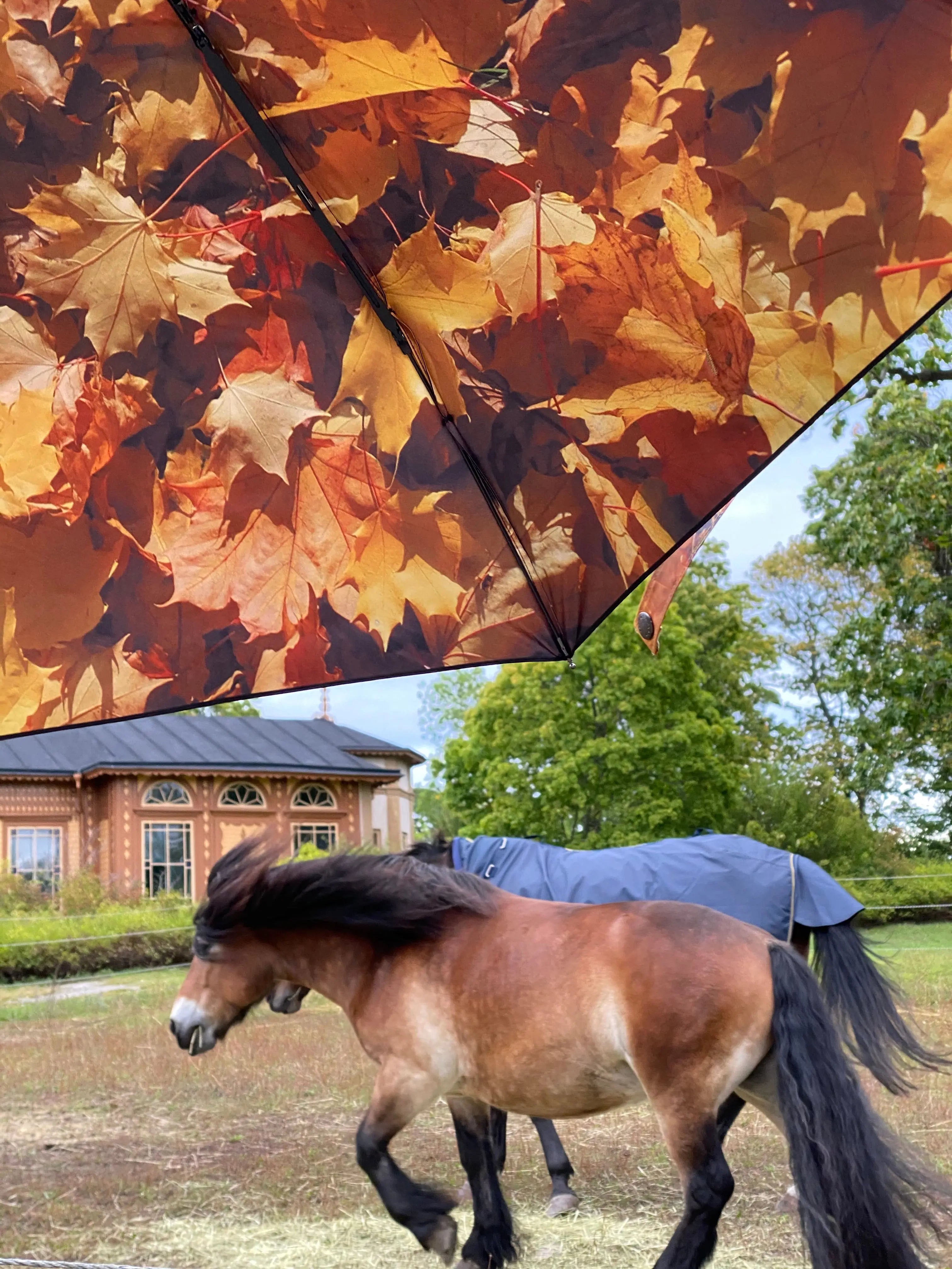 Höst Umbrella – Autumn Charm, Windproof & UPF50+ Protection.