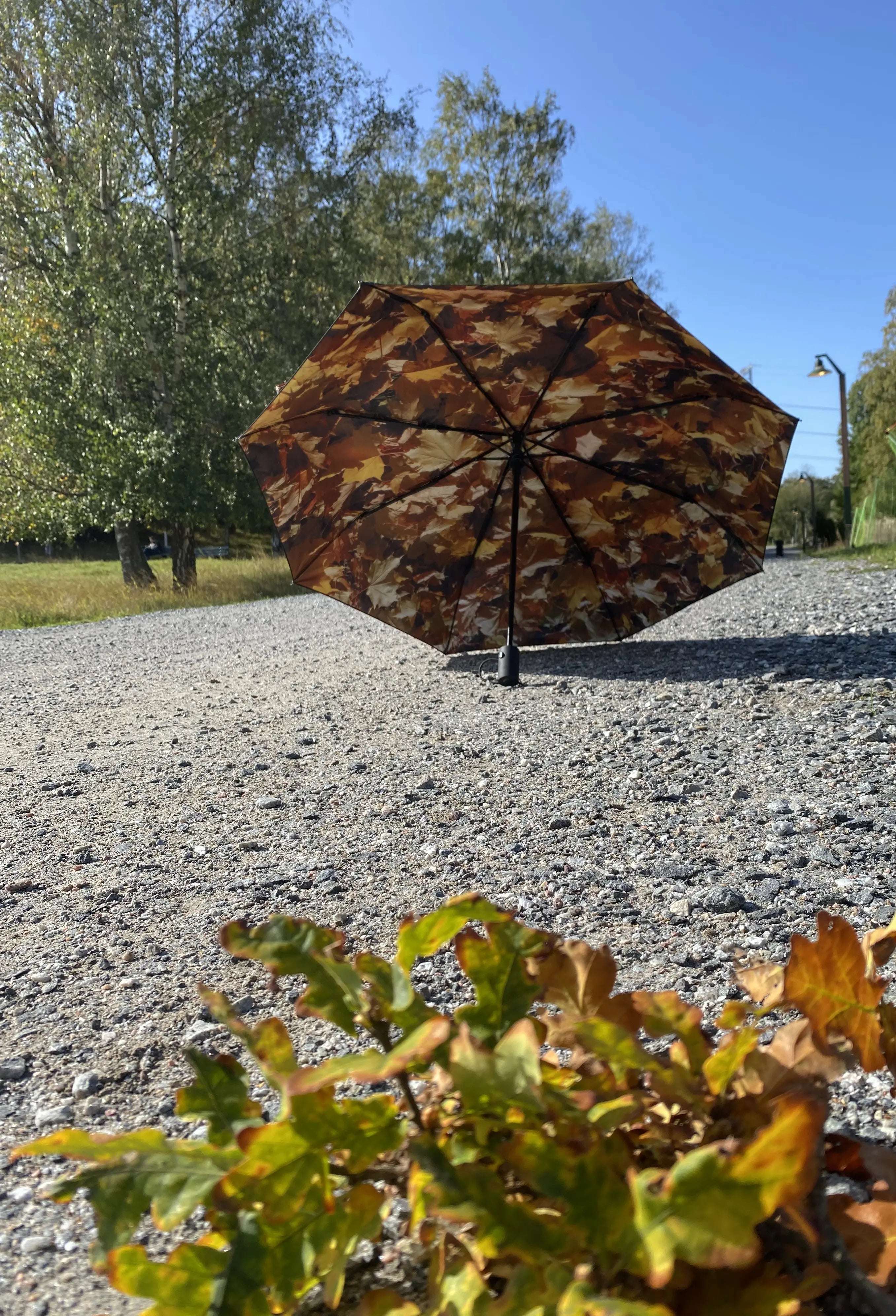 Höst Umbrella – Autumn Charm, Windproof & UPF50+ Protection.