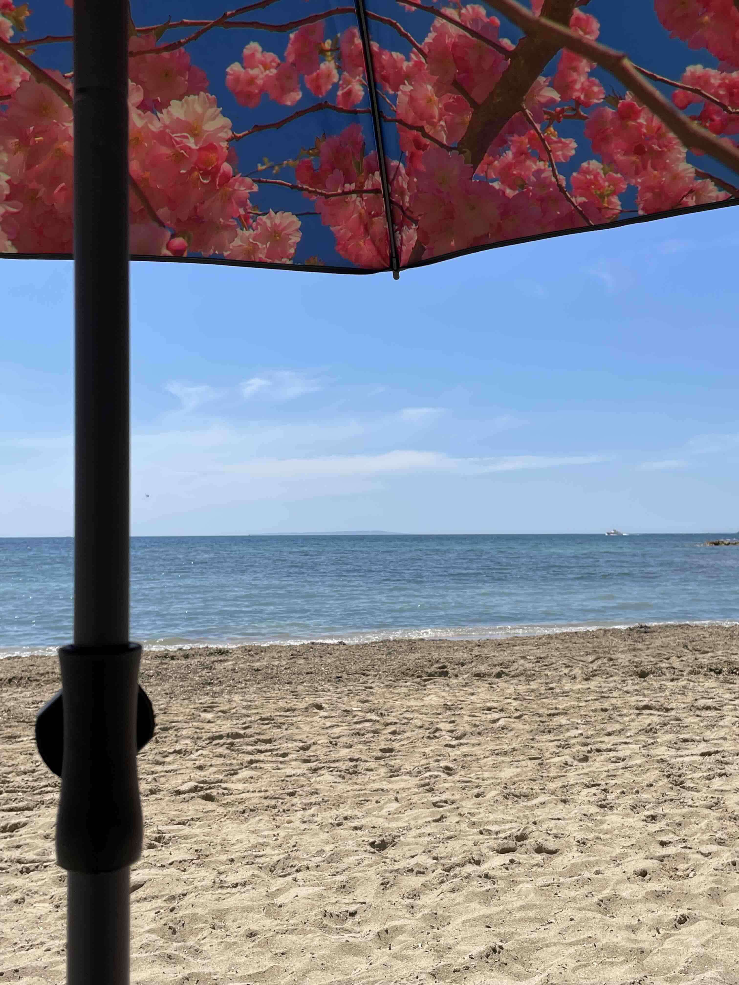 Cherry beach and terrace parasol