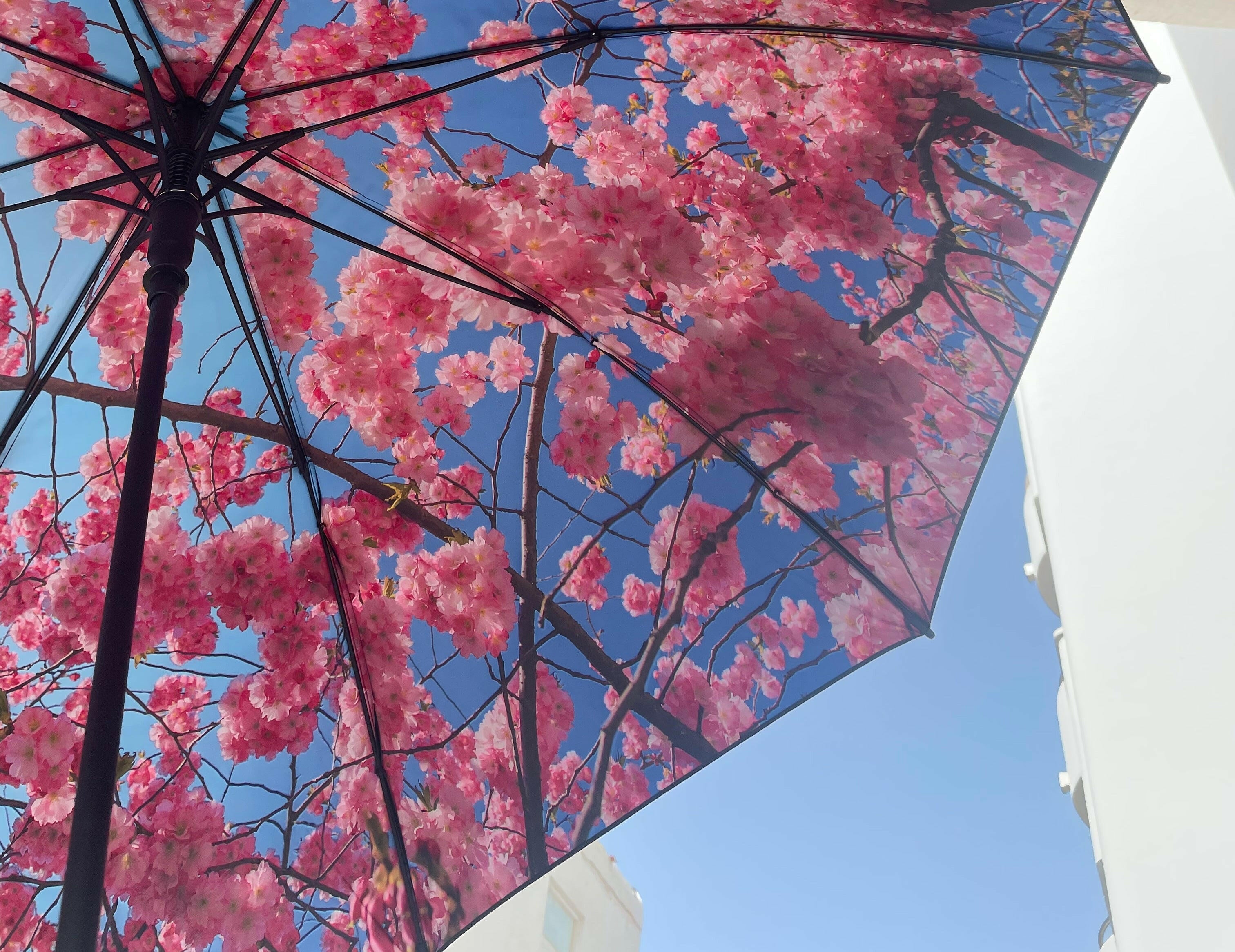 Cherry Large Umbrella – Elegant, Windproof & UPF50+ Protection.