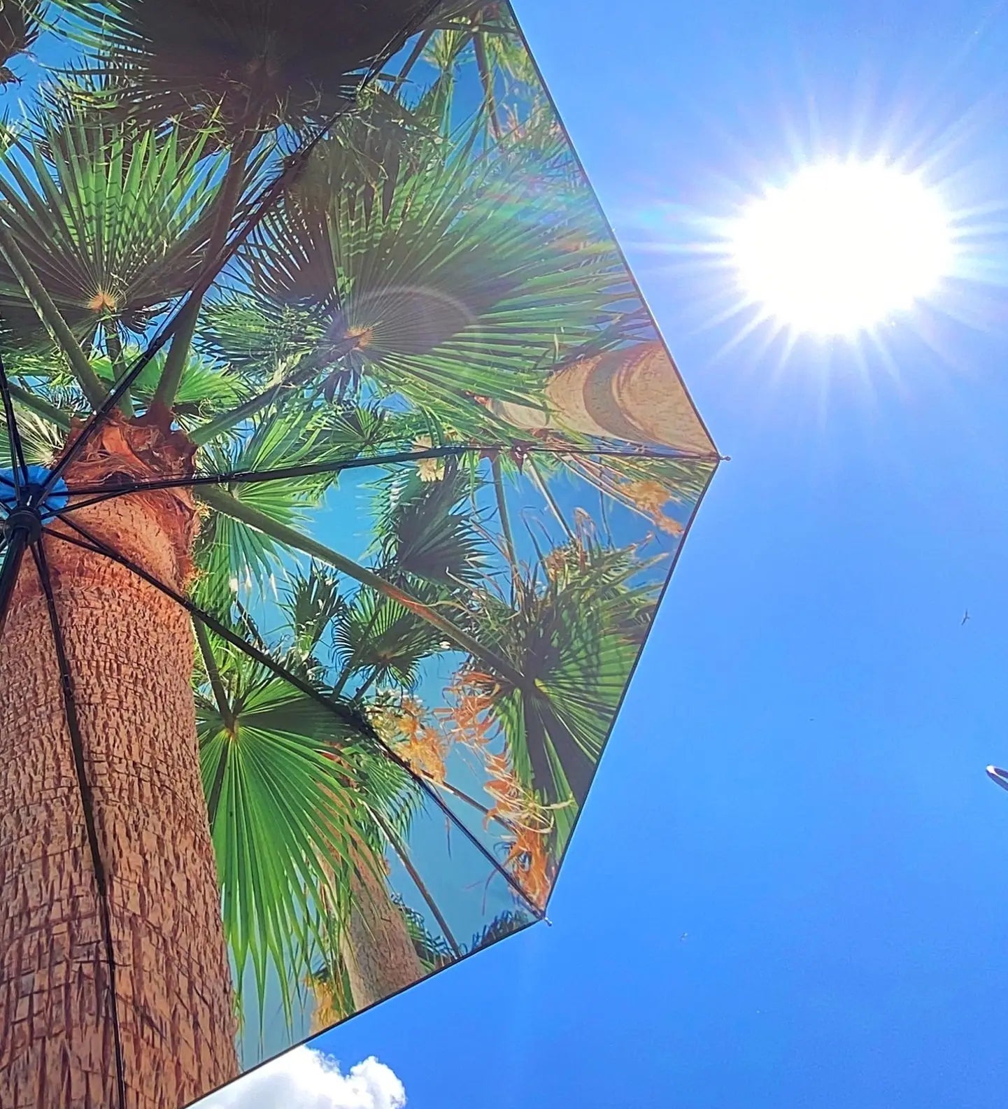 Paradise Umbrella – Tropical, Windproof & UPF50+ Protection.