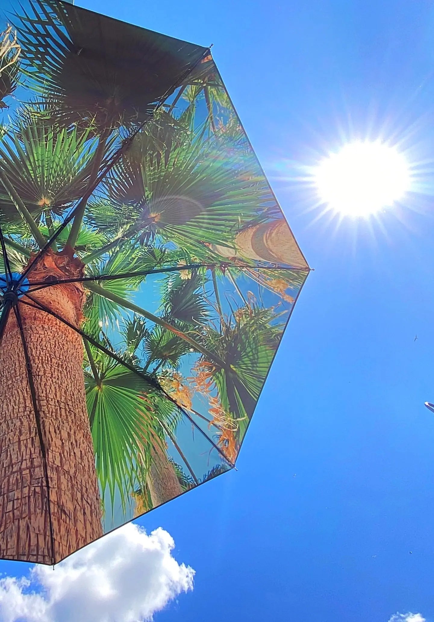 Paradise Umbrella – Tropical, Windproof & UPF50+ Protection.