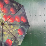 Tomato Umbrella – Vibrant Design, Windproof & UPF50+ Protection.