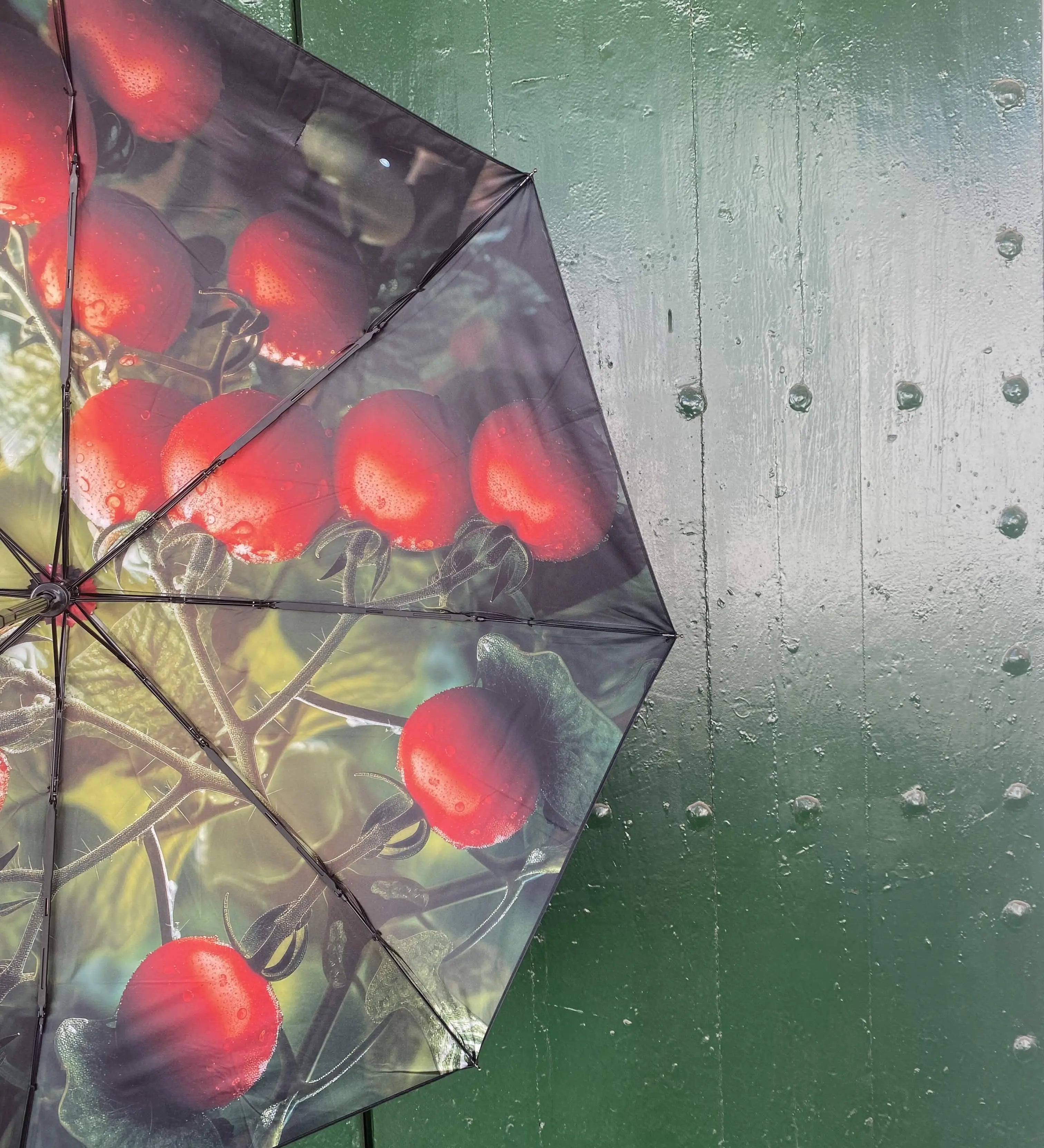 Tomato Umbrella – Vibrant Design, Windproof & UPF50+ Protection.