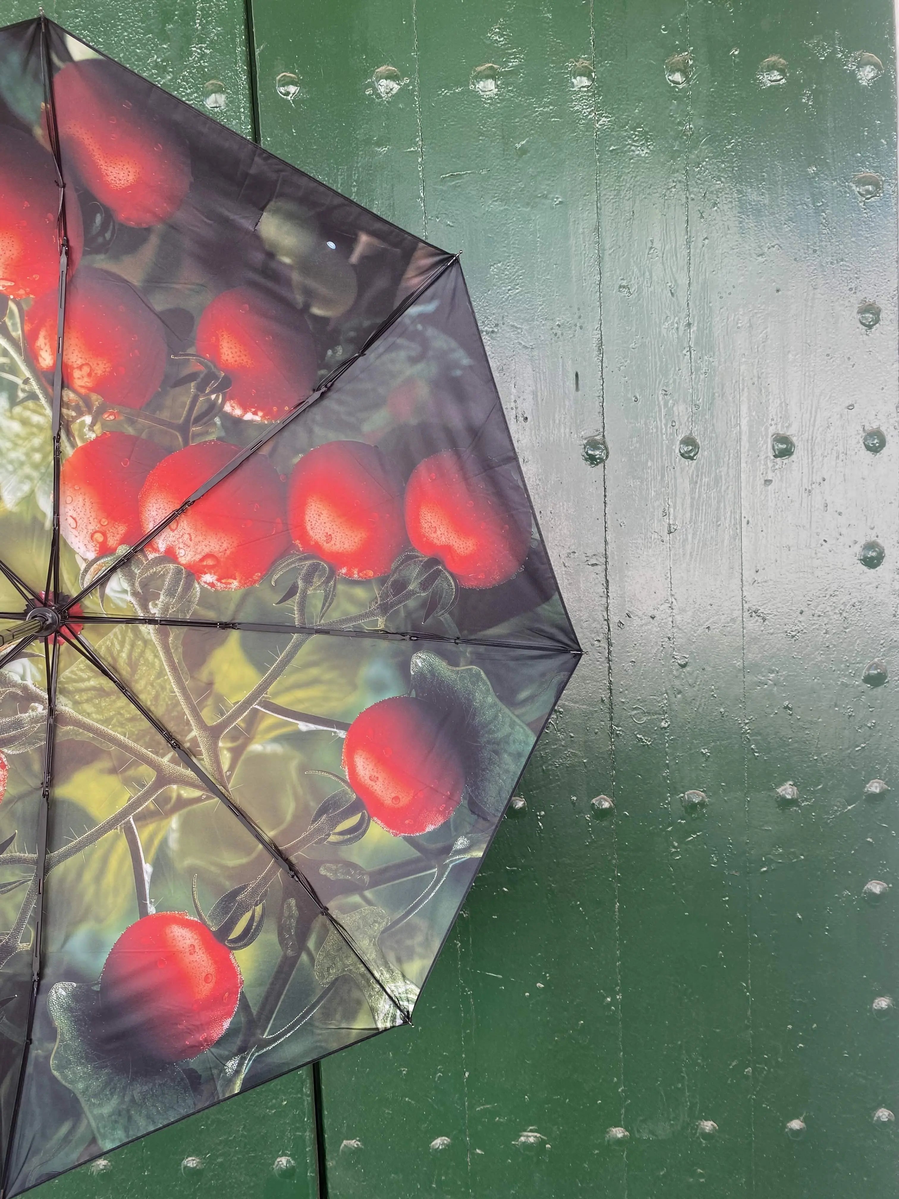 Tomato Umbrella – Vibrant Design, Windproof & UPF50+ Protection.