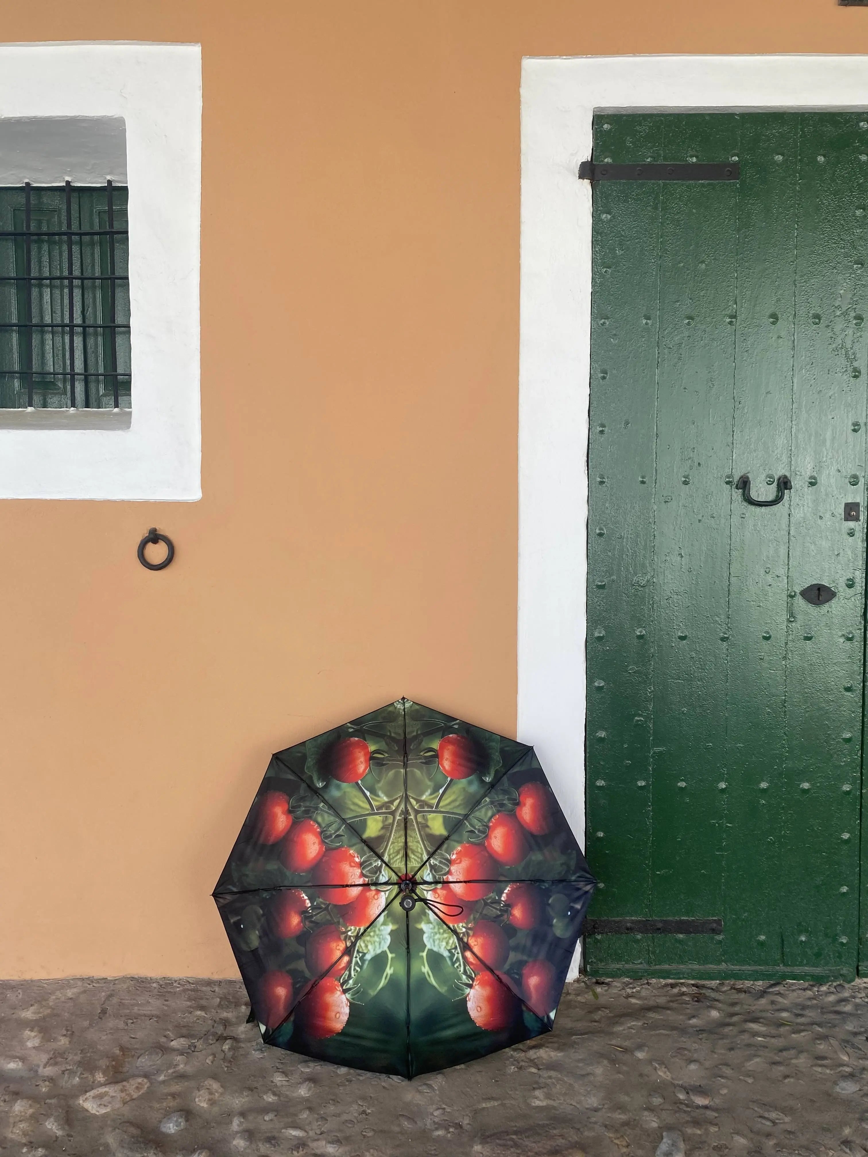 Tomato Umbrella – Vibrant Design, Windproof & UPF50+ Protection.