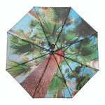 Paradise Umbrella – Tropical, Windproof & UPF50+ Protection.