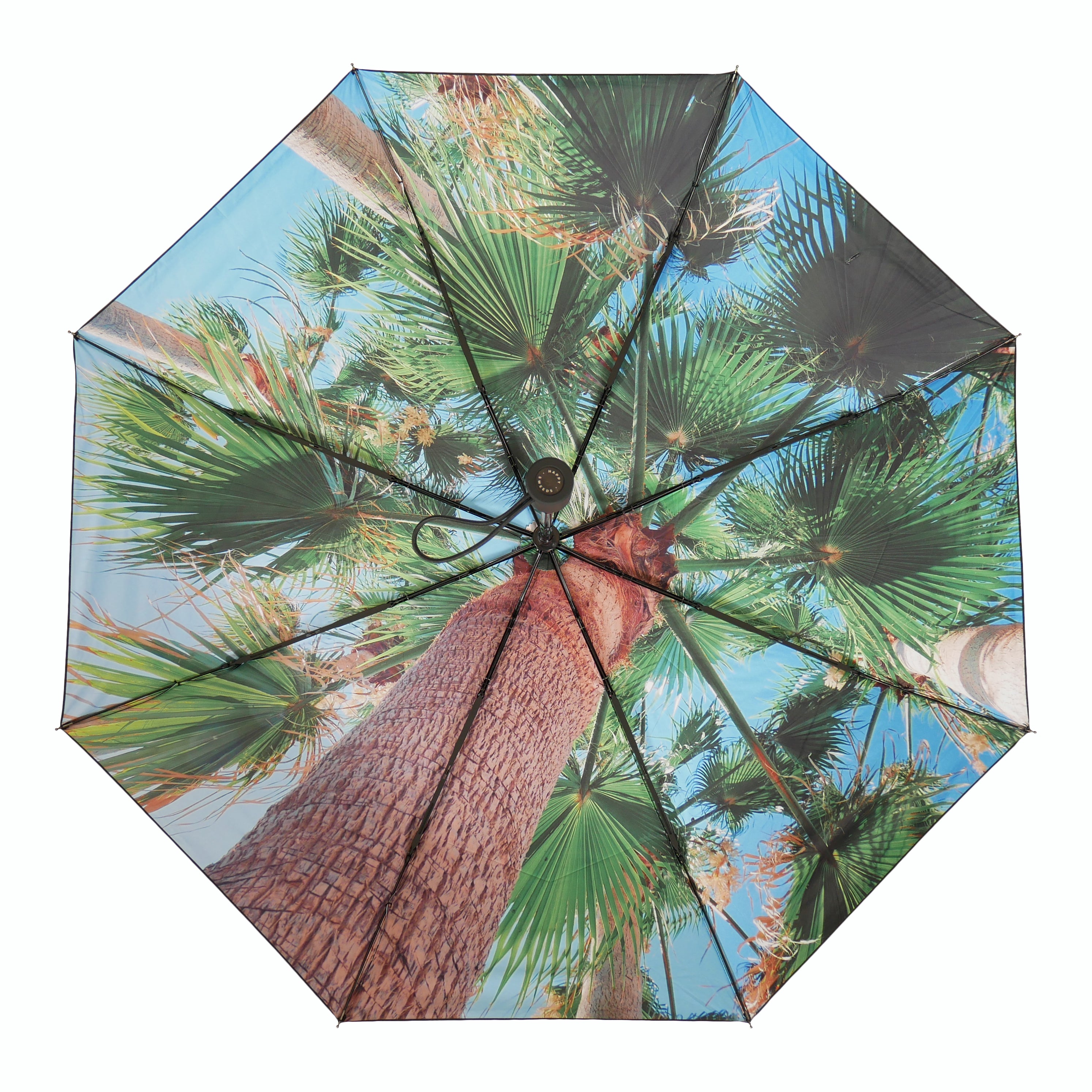 Paradise Umbrella – Tropical, Windproof & UPF50+ Protection.