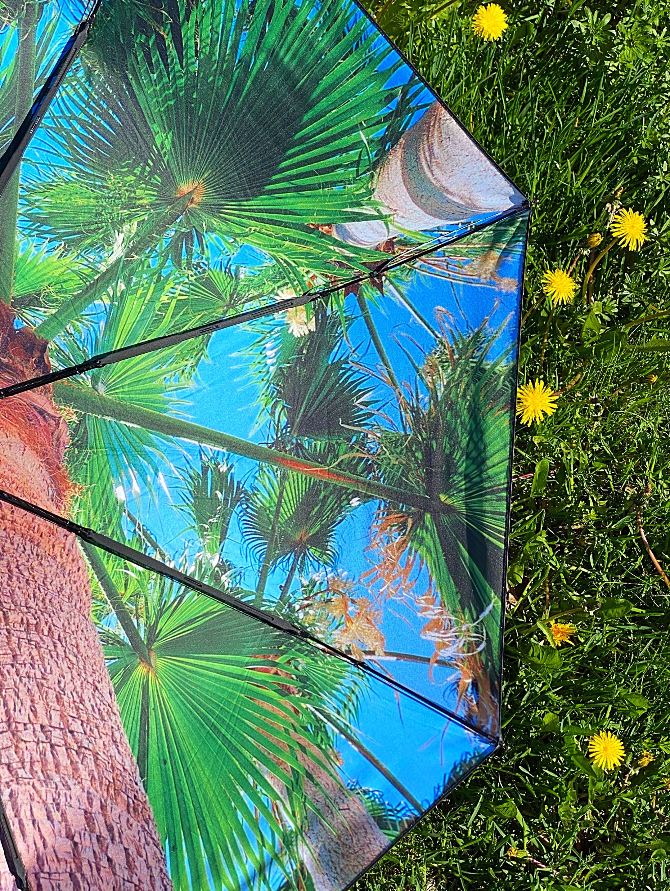 Paradise Umbrella – Tropical, Windproof & UPF50+ Protection.