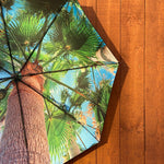 Paradise Umbrella – Tropical, Windproof & UPF50+ Protection.