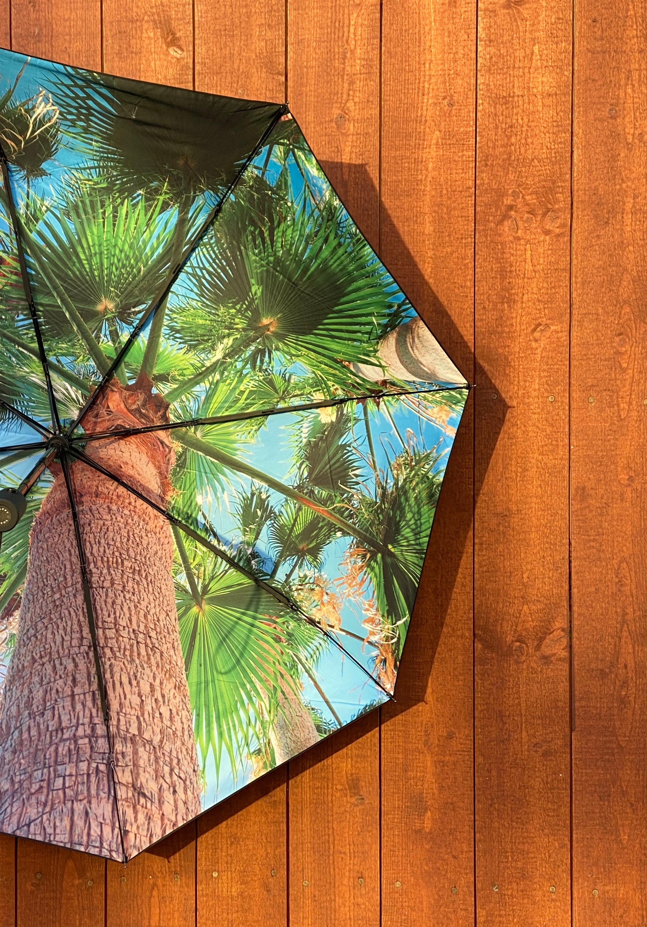 Paradise Umbrella – Tropical, Windproof & UPF50+ Protection.