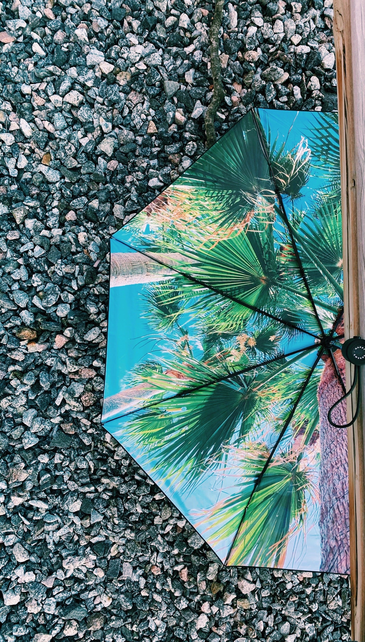 Paradise Umbrella – Tropical, Windproof & UPF50+ Protection.