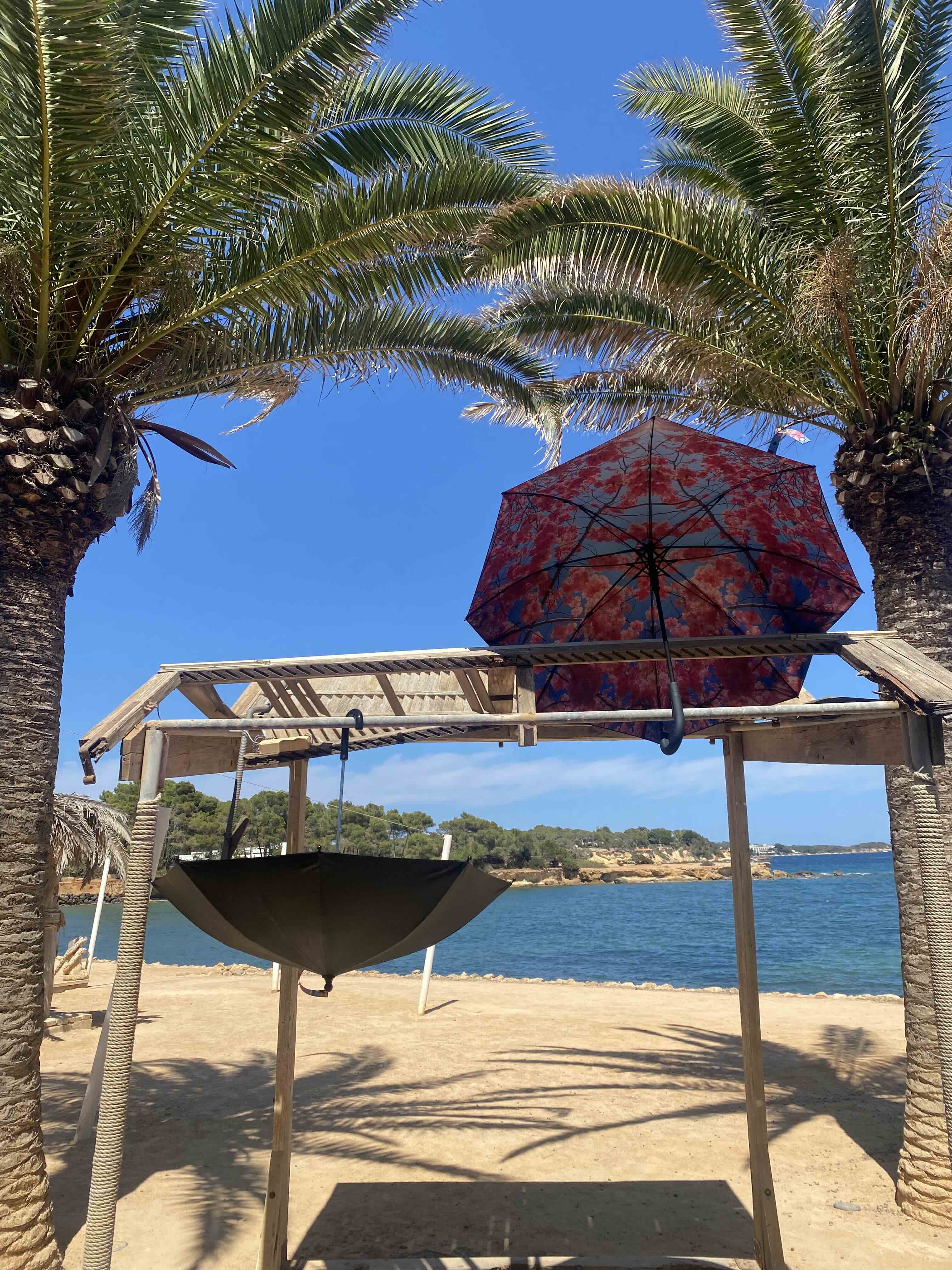 Family Umbrella Collection – Stylish & Durable for All Weather