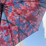 Cherry Large Umbrella - A Burst of Elegance