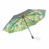Lemon Umbrella Bundle – Umbrella + Cover (Save 15%)