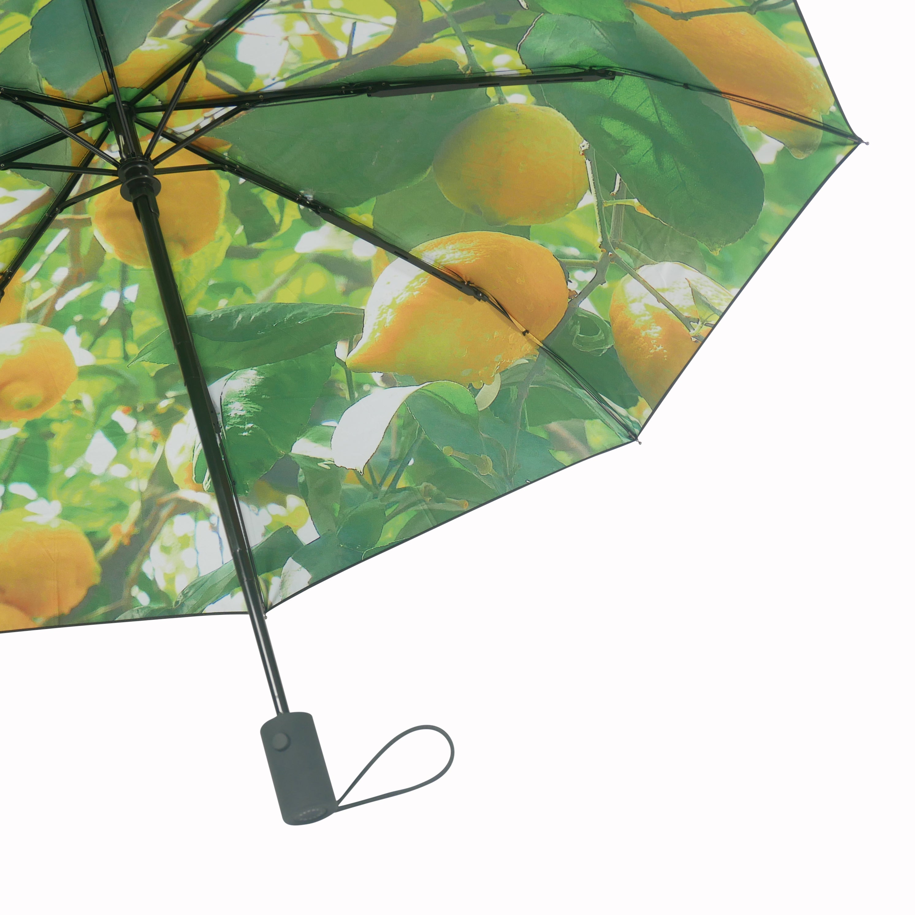 Umbrella Lemon