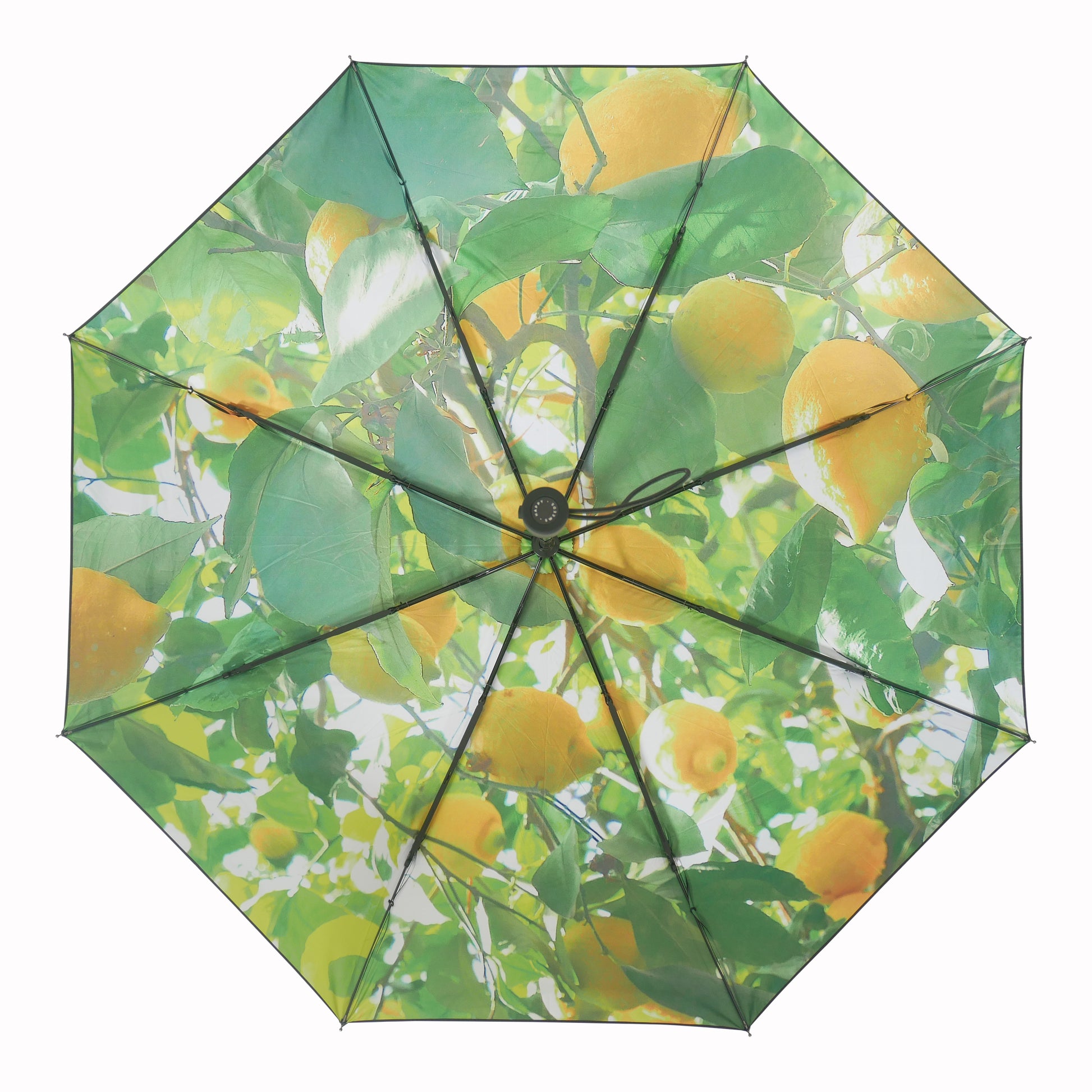 Umbrella Lemon sample